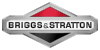 Briggs & Stratton at Hatfield ATV Rental & Repair